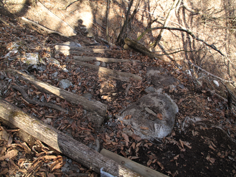 20171207hike (315)